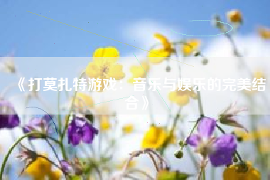 《打莫扎特游戏：音乐与娱乐的完美结合》