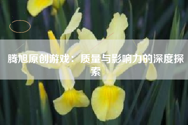腾旭原创游戏：质量与影响力的深度探索