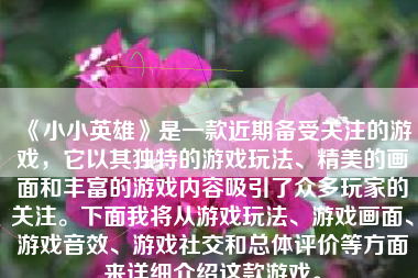 《小小英雄》是一款近期备受关注的游戏，它以其独特的游戏玩法、精美的画面和丰富的游戏内容吸引了众多玩家的关注。下面我将从游戏玩法、游戏画面、游戏音效、游戏社交和总体评价等方面来详细介绍这款游戏。