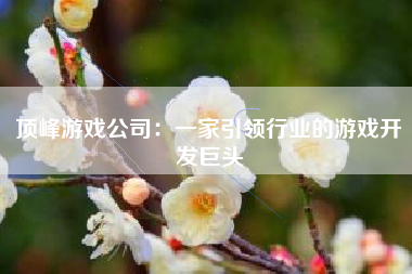 顶峰游戏公司：一家引领行业的游戏开发巨头