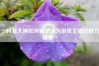 **抖音大神如何转型成为游戏主播的魅力探索**