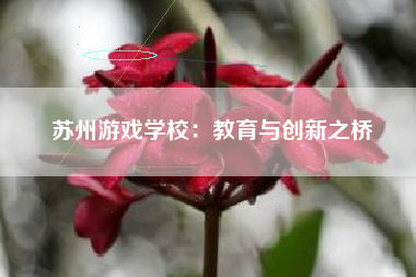 苏州游戏学校：教育与创新之桥