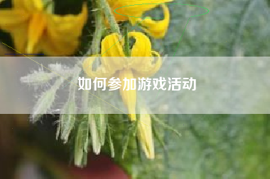 如何参加游戏活动