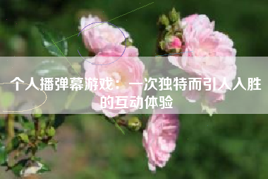 个人播弹幕游戏：一次独特而引人入胜的互动体验