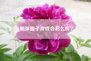 删除圈子游戏会怎么样？