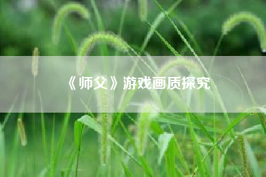 《师父》游戏画质探究