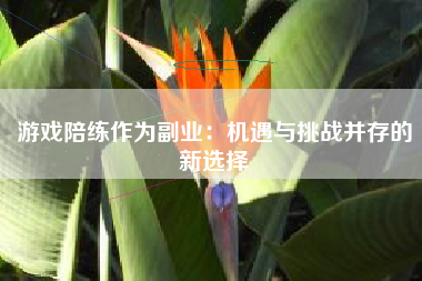 游戏陪练作为副业：机遇与挑战并存的新选择