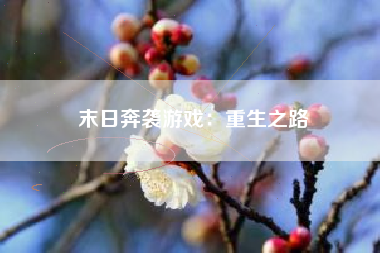 末日奔袭游戏：重生之路