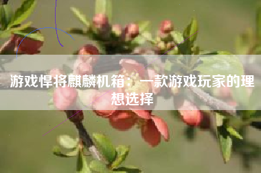 游戏悍将麒麟机箱：一款游戏玩家的理想选择