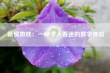 新悦游戏：一种令人着迷的数字体验