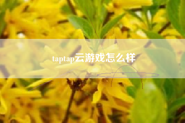 taptap云游戏怎么样