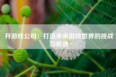 开游戏公司：打造未来游戏世界的挑战与机遇