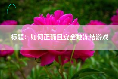 标题：如何正确且安全地冻结游戏