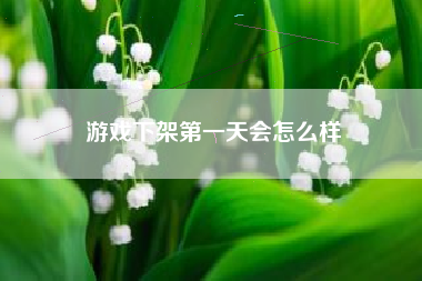 游戏下架第一天会怎么样