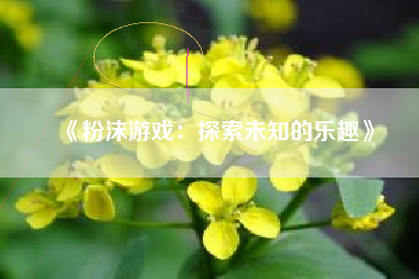 《粉沫游戏：探索未知的乐趣》