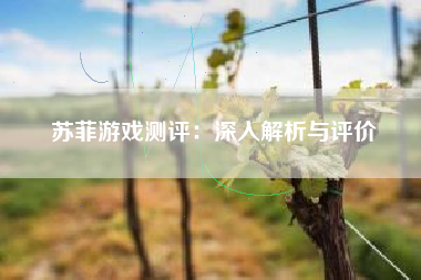 苏菲游戏测评：深入解析与评价