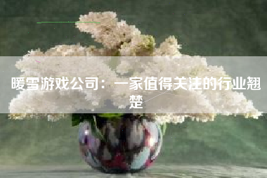 暖雪游戏公司：一家值得关注的行业翘楚