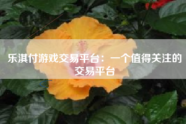 乐淇付游戏交易平台：一个值得关注的交易平台