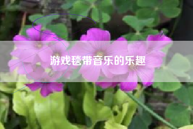 游戏毯带音乐的乐趣