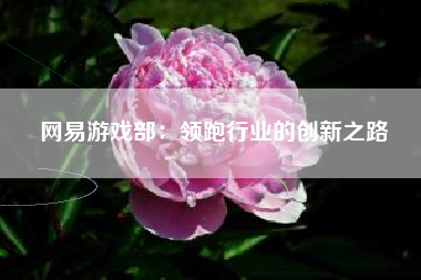 网易游戏部：领跑行业的创新之路