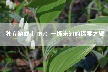 独立游戏上4399：一场未知的探索之旅