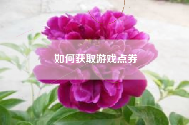 如何获取游戏点券
