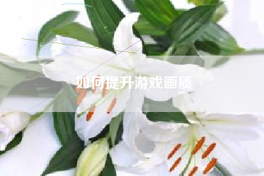 如何提升游戏画质