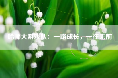 哈师大游戏队：一路成长，一往无前