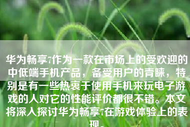 华为畅享7作为一款在市场上的受欢迎的中低端手机产品，备受用户的青睐，特别是有一些热衷于使用手机来玩电子游戏的人对它的性能评价都很不错。本文将深入探讨华为畅享7在游戏体验上的表现。