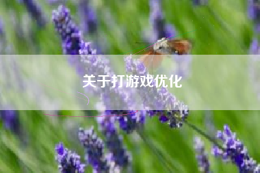 关于打游戏优化