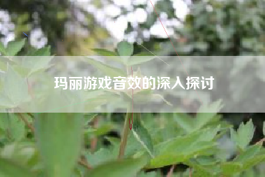 玛丽游戏音效的深入探讨