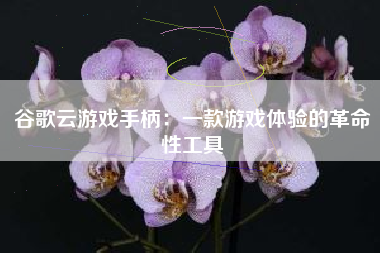 谷歌云游戏手柄：一款游戏体验的革命性工具
