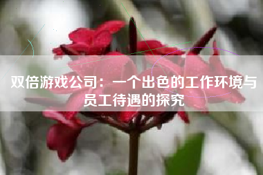 双倍游戏公司：一个出色的工作环境与员工待遇的探究