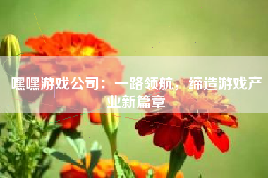 嘿嘿游戏公司：一路领航，缔造游戏产业新篇章