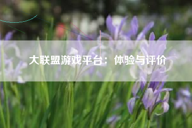 大联盟游戏平台：体验与评价