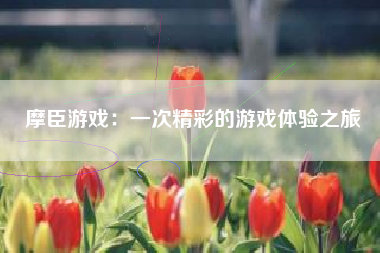 摩臣游戏：一次精彩的游戏体验之旅