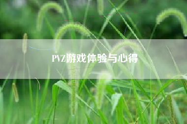 PVZ游戏体验与心得