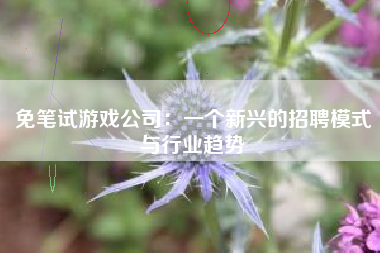 免笔试游戏公司：一个新兴的招聘模式与行业趋势