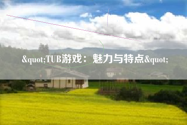 "TUB游戏：魅力与特点"