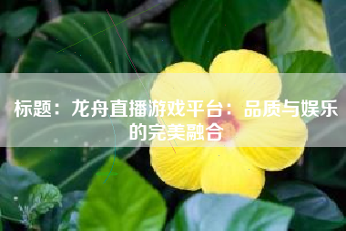 标题：龙舟直播游戏平台：品质与娱乐的完美融合