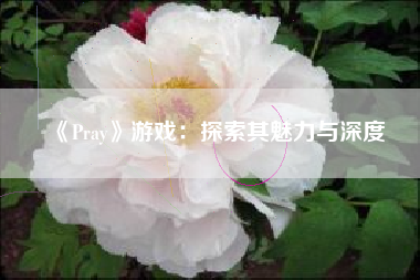 《Pray》游戏：探索其魅力与深度