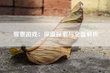 警察游戏：深度探索与全面解析