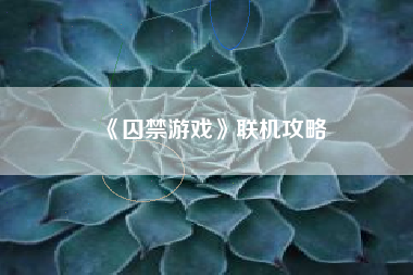 《囚禁游戏》联机攻略