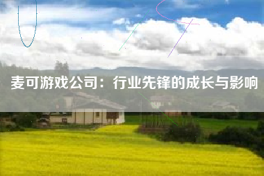 麦可游戏公司：行业先锋的成长与影响