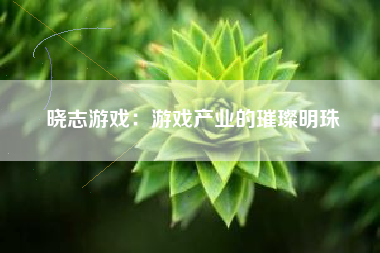 晓志游戏：游戏产业的璀璨明珠