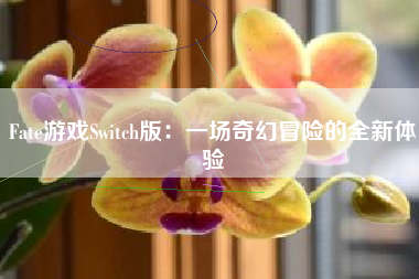 Fate游戏Switch版：一场奇幻冒险的全新体验