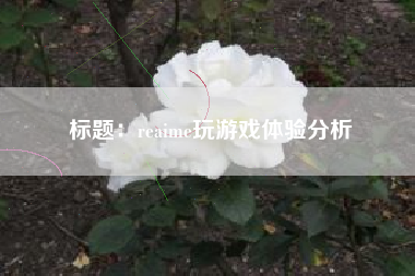 标题：reaime玩游戏体验分析