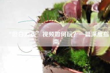 “坦白游戏”视频如何玩？一篇深度指南