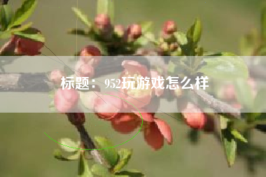 标题：952玩游戏怎么样