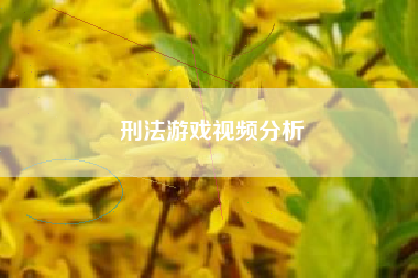 刑法游戏视频分析